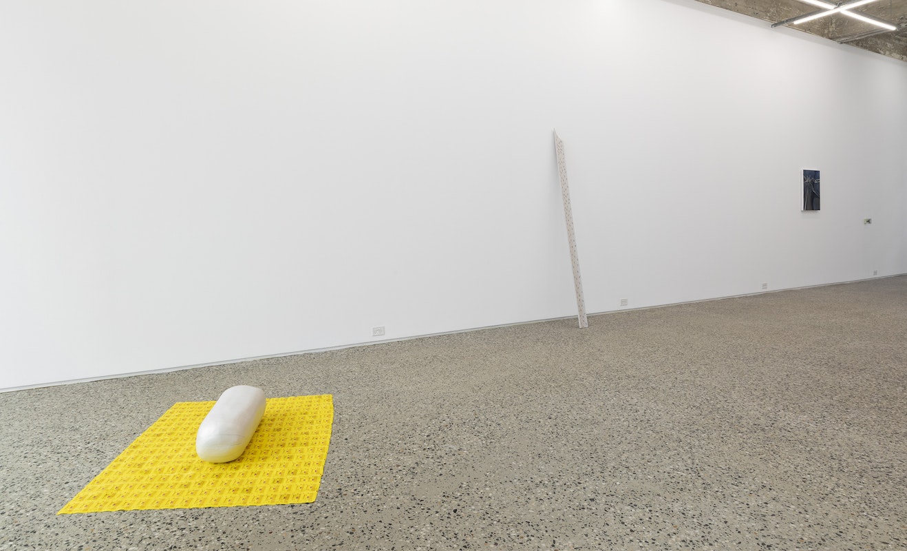 Like a Stone Sinking in a Lake or a Bullet in My Heart, installation view, Gertrude Glasshouse, Naarm, Melbourne, 2025, image courtesy the artist and Animal House, Naarm Melbourne © the artist, photograph: Christian Capurro