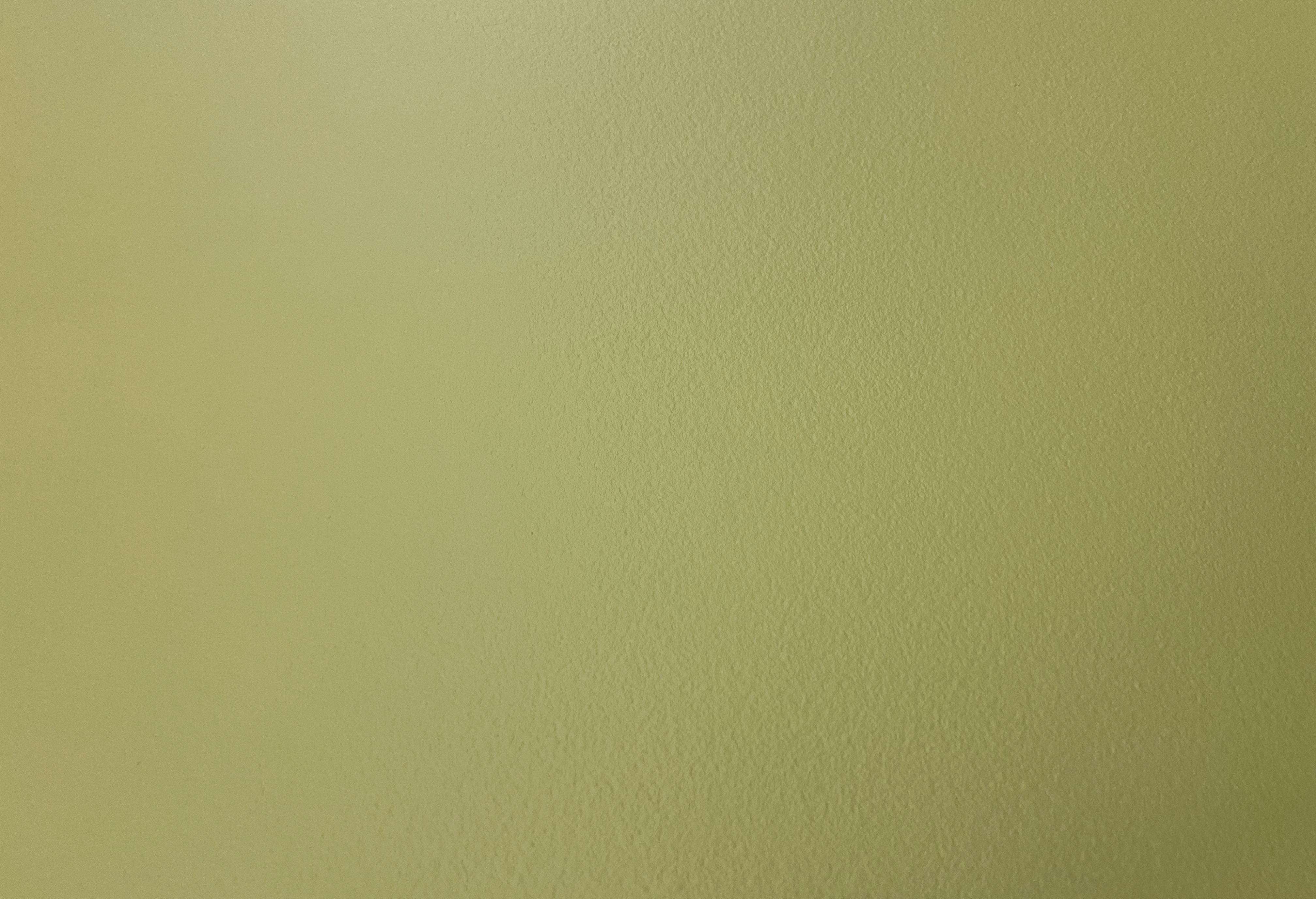 Dear Diego (cc Alexi Glass). Image courtesy of Lisa Radford.