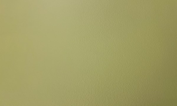 Dear Diego (cc Alexi Glass). Image courtesy of Lisa Radford.