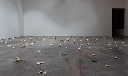 Cindy Huang, Tracing a gilded trail, 2023, installation view, Sumer Fine Art, Tāmaku Makaurau Aotearoa New Zealand, image courtesy of the artist and Sumer Fine Art © the artist.