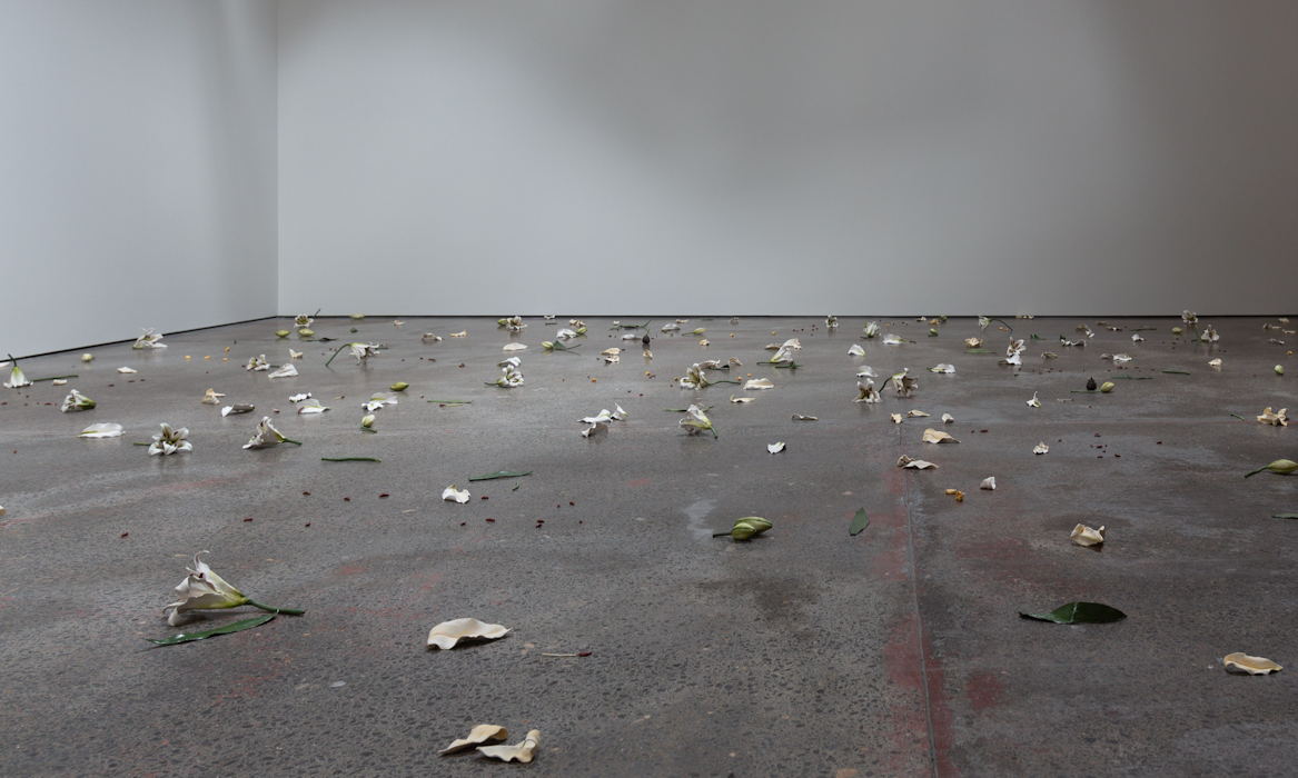 Cindy Huang, Tracing a gilded trail, 2023, installation view, Sumer Fine Art, Tāmaku Makaurau Aotearoa New Zealand, image courtesy of the artist and Sumer Fine Art © the artist.