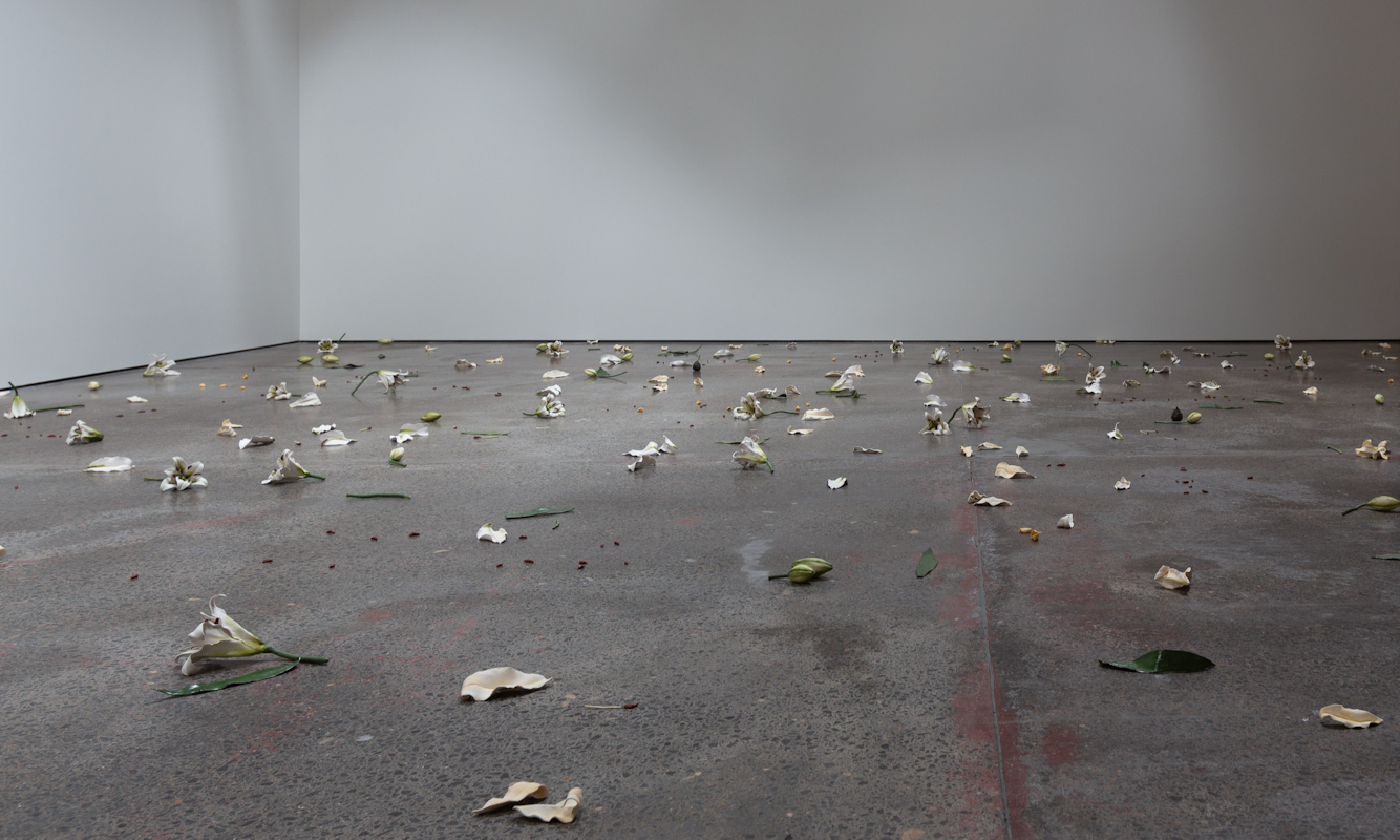 Cindy Huang, Tracing a gilded trail, 2023, installation view, Sumer Fine Art, Tāmaku Makaurau Aotearoa New Zealand, image courtesy of the artist and Sumer Fine Art © the artist.