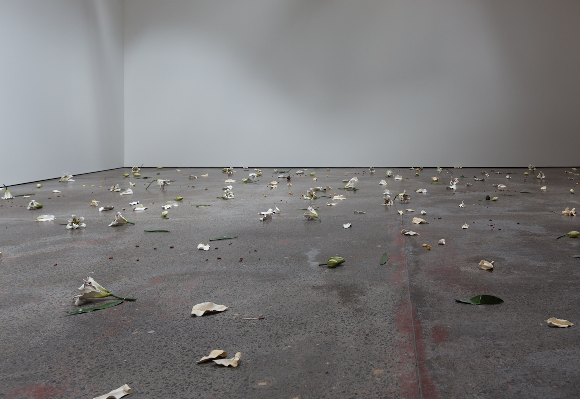 Cindy Huang, Tracing a gilded trail, 2023, installation view, Sumer Fine Art, Tāmaku Makaurau Aotearoa New Zealand, image courtesy of the artist and Sumer Fine Art © the artist.