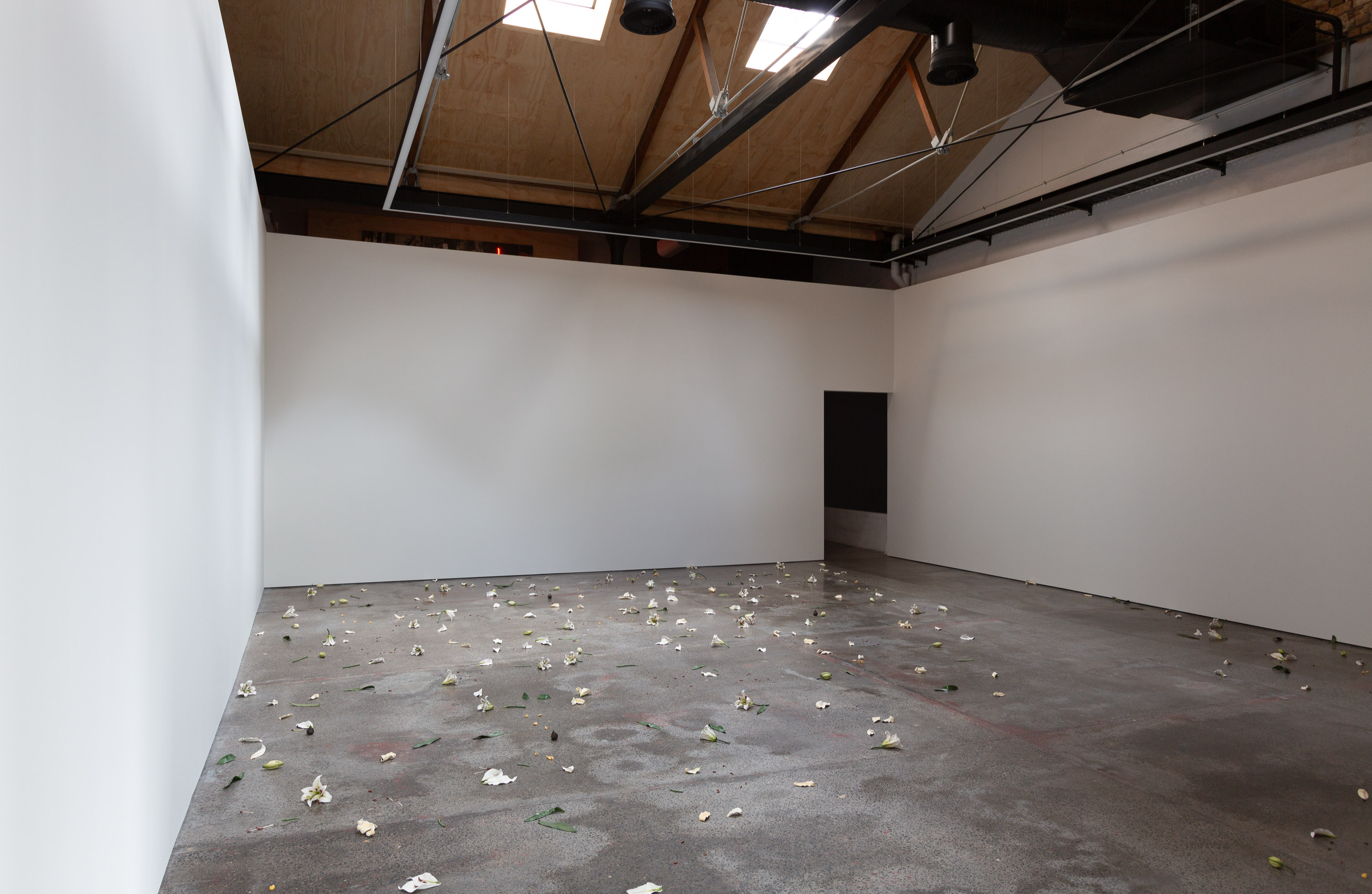 Cindy Huang, Tracing a gilded trail, 2023, installation view, Sumer Fine Art, Tāmaku Makaurau Aotearoa New Zealand, image courtesy of the artist and Sumer Fine Art © the artist.