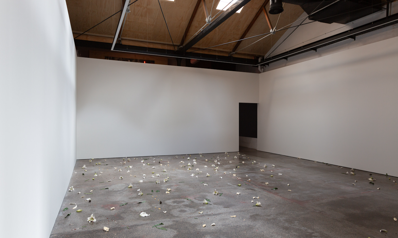 Cindy Huang, Tracing a gilded trail, 2023, installation view, Sumer Fine Art, Tāmaku Makaurau Aotearoa New Zealand, image courtesy of the artist and Sumer Fine Art © the artist.