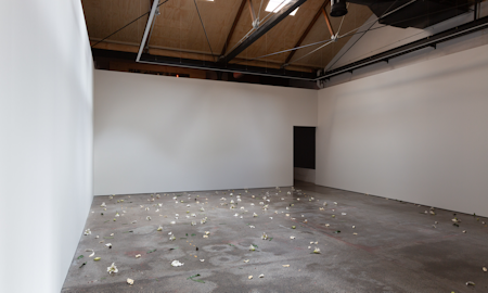 Cindy Huang, Tracing a gilded trail, 2023, installation view, Sumer Fine Art, Tāmaku Makaurau Aotearoa New Zealand, image courtesy of the artist and Sumer Fine Art © the artist.