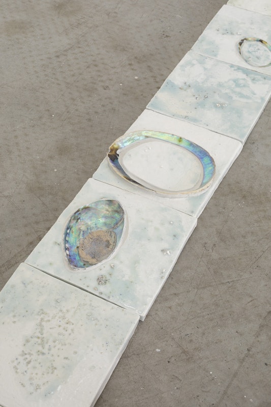 Cindy Huang, Kitchen Hall Glimmer, 2026, installation view, Landings, Gertrude Contemporary, Naarm Melbourne, 2026, glazed porcelain, blackfoot pāua, bluefoot pāua, crab shells, crayfish shells, geoduck shells, mussel shells, oyster shells, storm clam shells, 66 parts, , image courtesy of the artist and Sumer, Tāmaki Makaurau Auckland © the artist, photograph: Christian Capurro