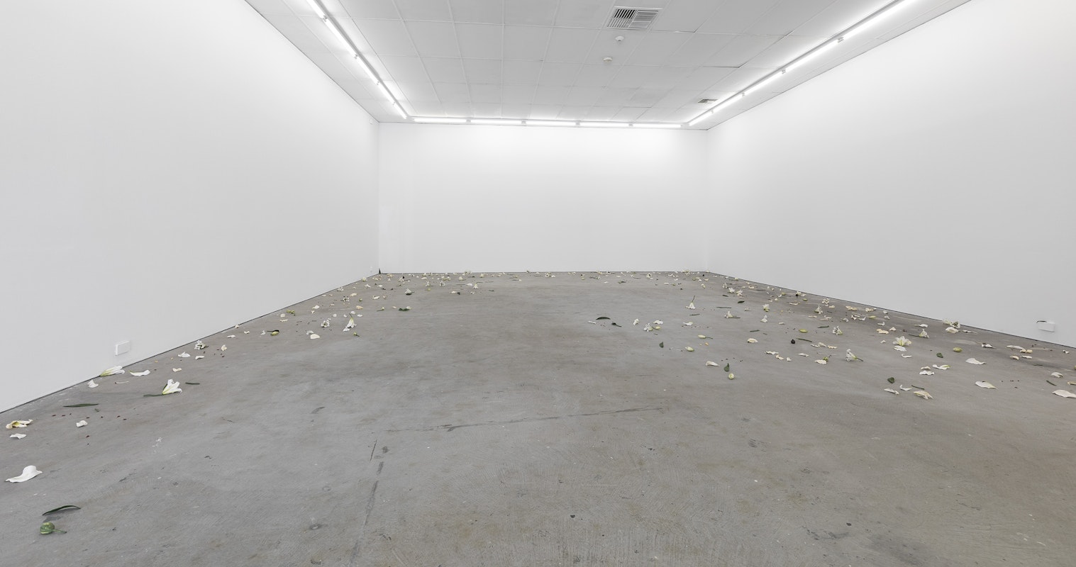 Cindy Huang, Tracing a gilded trail, 2023, installation view, Landings, Gertrude Contemporary, Naarm Melbourne, 2025, glazed porcelain, 1000 parts, image courtesy of the artist and Sumer, Tāmaki Makaurau Auckland © the artist, photograph: Christian Capurro