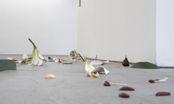 Cindy Huang, Tracing a gilded trail, 2023, installation view, Landings, Gertrude Contemporary, Naarm Melbourne, 2025, glazed porcelain, 1000 parts, image courtesy of the artist and Sumer, Tāmaki Makaurau Auckland © the artist, photograph: Christian Capurro