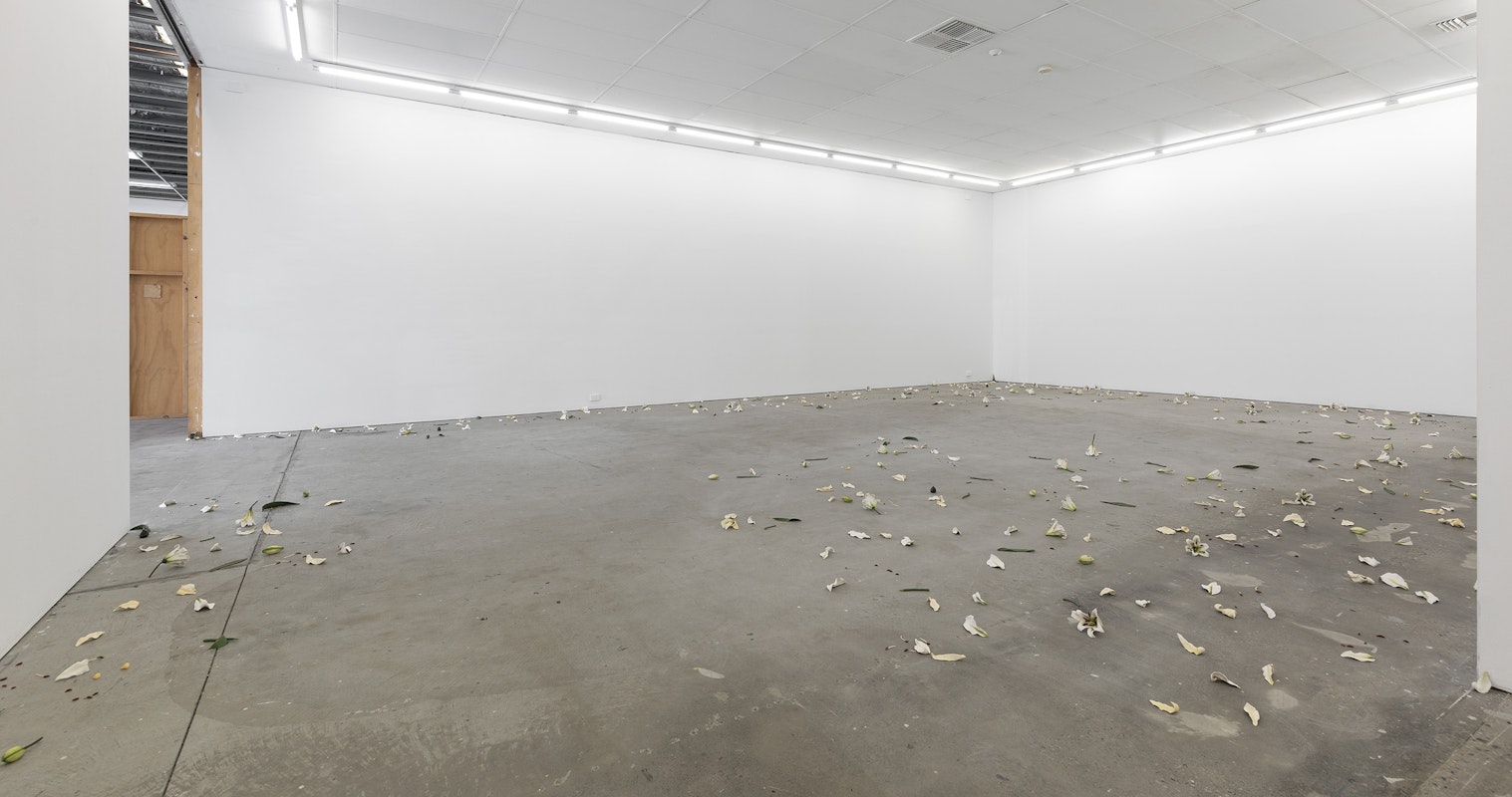 Cindy Huang, Tracing a gilded trail, 2023, installation view, Landings, Gertrude Contemporary, Naarm Melbourne, 2025, glazed porcelain, 1000 parts, image courtesy of the artist and Sumer, Tāmaki Makaurau Auckland © the artist, photograph: Christian Capurro