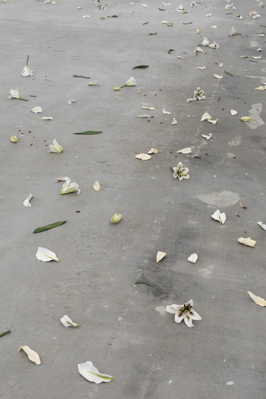 Cindy Huang, Tracing a gilded trail, 2023, installation view, Landings, Gertrude Contemporary, Naarm Melbourne, 2025, glazed porcelain, 1000 parts, image courtesy of the artist and Sumer, Tāmaki Makaurau Auckland © the artist, photograph: Christian Capurro