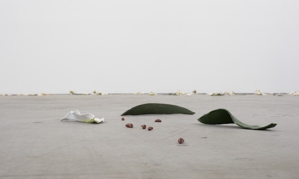 Cindy Huang, Tracing a gilded trail, 2023, installation view, Landings, Gertrude Contemporary, Naarm Melbourne, 2025, glazed porcelain, 1000 parts, image courtesy of the artist and Sumer, Tāmaki Makaurau Auckland © the artist, photograph: Christian Capurro