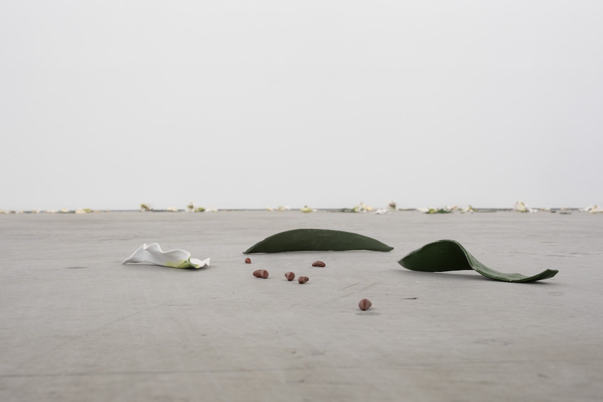 Cindy Huang, Tracing a gilded trail, 2023, installation view, Landings, Gertrude Contemporary, Naarm Melbourne, 2025, glazed porcelain, 1000 parts, image courtesy of the artist and Sumer, Tāmaki Makaurau Auckland © the artist, photograph: Christian Capurro