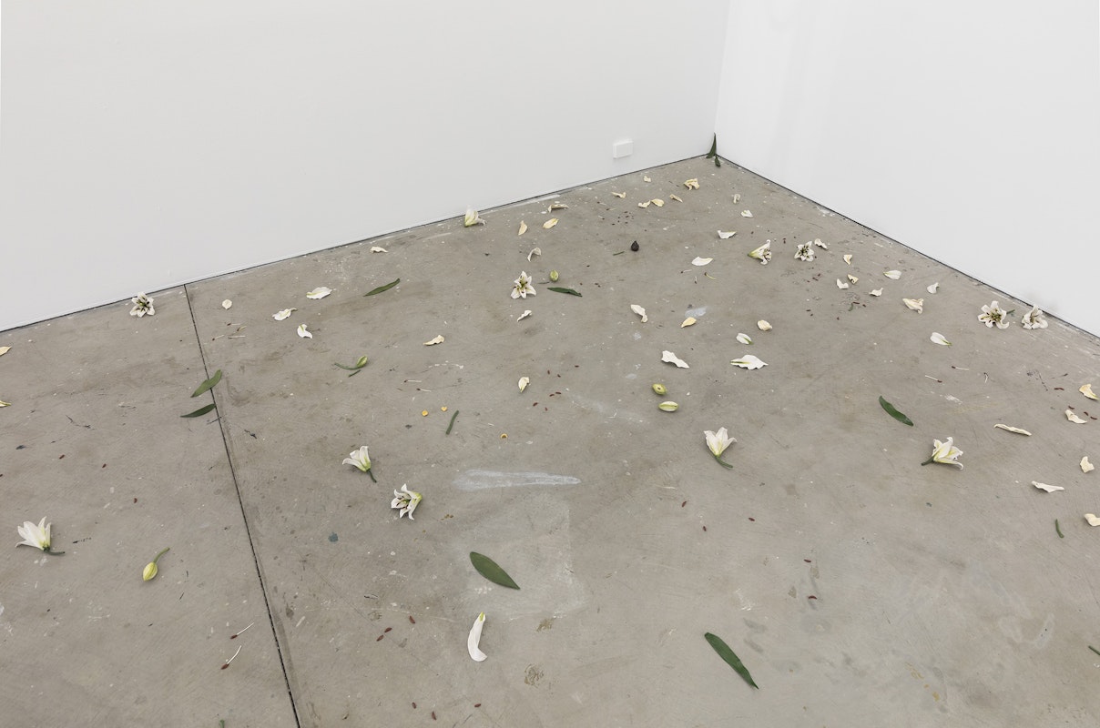 Cindy Huang, Tracing a gilded trail, 2023, installation view, Landings, Gertrude Contemporary, Naarm Melbourne, 2025, glazed porcelain, 1000 parts, image courtesy of the artist and Sumer, Tāmaki Makaurau Auckland © the artist, photograph: Christian Capurro