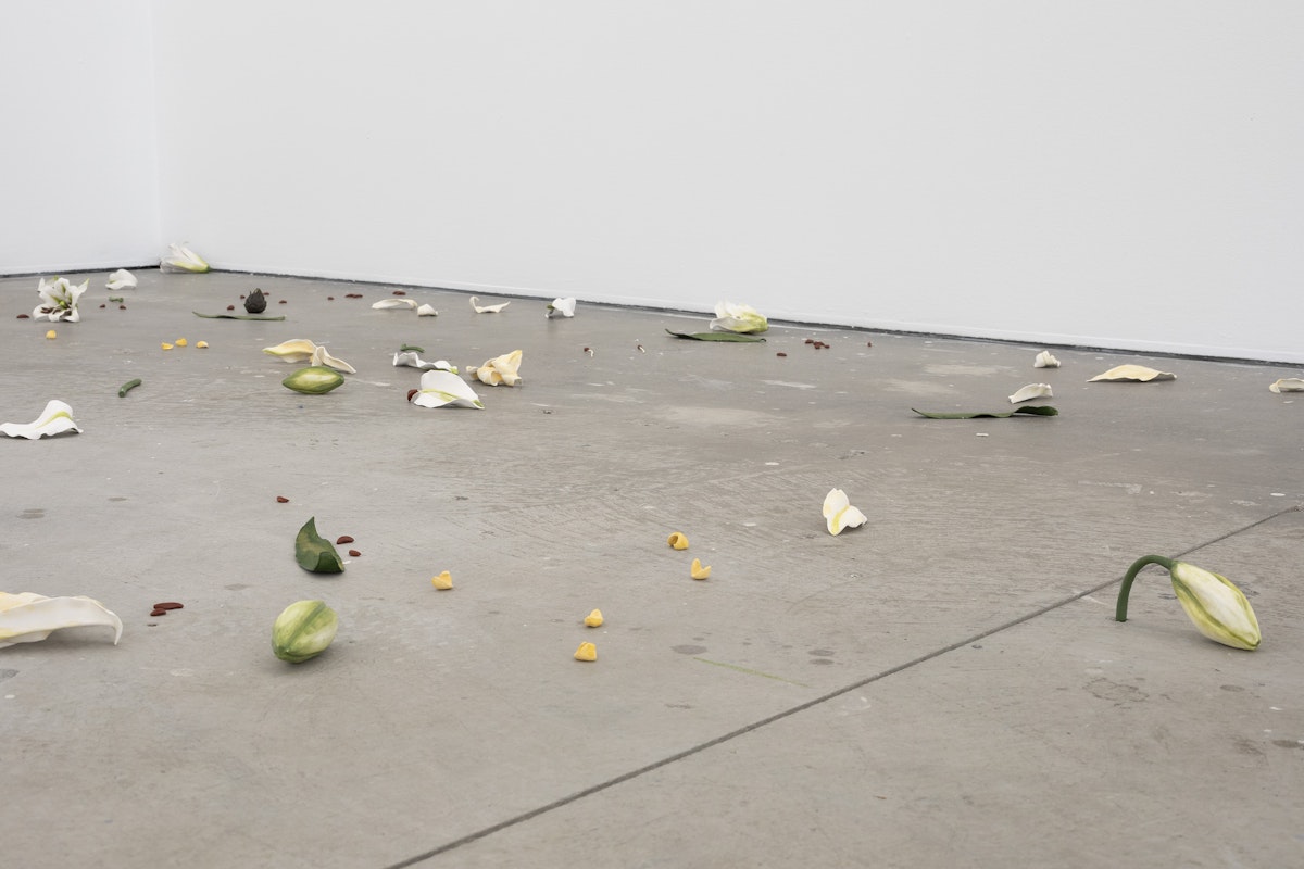 Cindy Huang, Tracing a gilded trail, 2023, installation view, Landings, Gertrude Contemporary, Naarm Melbourne, 2025, glazed porcelain, 1000 parts, image courtesy of the artist and Sumer, Tāmaki Makaurau Auckland © the artist, photograph: Christian Capurro