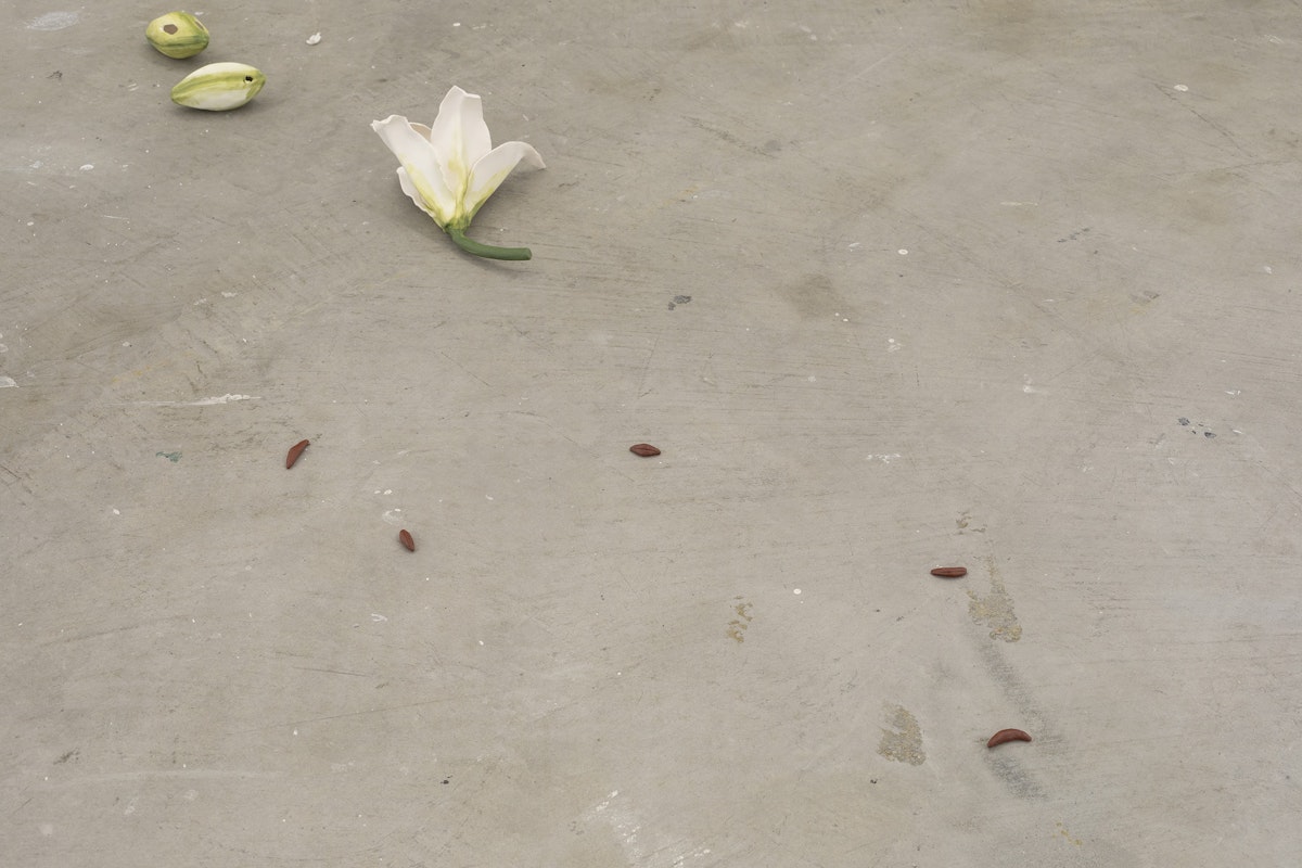 Cindy Huang, Tracing a gilded trail, 2023, installation view, Landings, Gertrude Contemporary, Naarm Melbourne, 2025, glazed porcelain, 1000 parts, image courtesy of the artist and Sumer, Tāmaki Makaurau Auckland © the artist, photograph: Christian Capurro