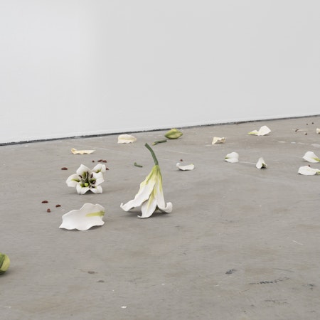 Cindy Huang, Tracing a gilded trail, 2023, installation view, Landings, Gertrude Contemporary, Naarm Melbourne, 2025, glazed porcelain, 1000 parts, image courtesy of the artist and Sumer, Tāmaki Makaurau Auckland © the artist, photograph: Christian Capurro