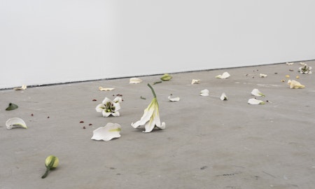 Cindy Huang, Tracing a gilded trail, 2023, installation view, Landings, Gertrude Contemporary, Naarm Melbourne, 2025, glazed porcelain, 1000 parts, image courtesy of the artist and Sumer, Tāmaki Makaurau Auckland © the artist, photograph: Christian Capurro