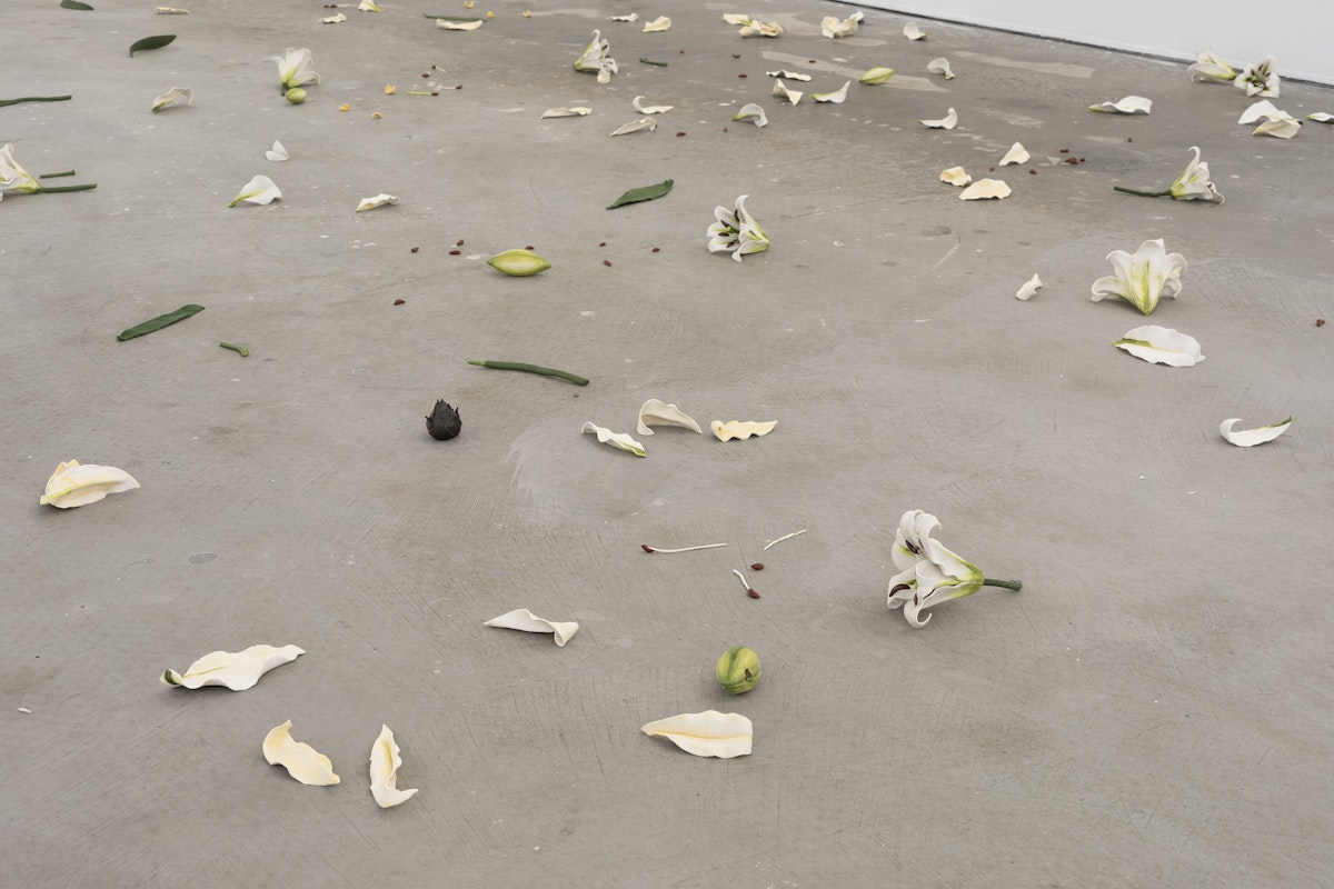 Cindy Huang, Tracing a gilded trail, 2023, installation view, Landings, Gertrude Contemporary, Naarm Melbourne, 2025, glazed porcelain, 1000 parts, image courtesy of the artist and Sumer, Tāmaki Makaurau Auckland © the artist, photograph: Christian Capurro
