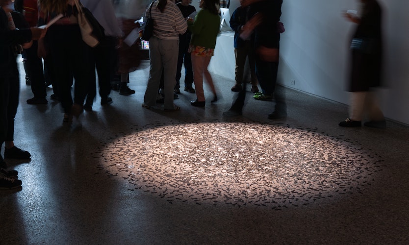 Moorina Bonini, We Were Never Meant to be Contained, hand engraved keys, sound 5:36 mins, audience view, We Were Never Meant to be Contained, Gertrude Glasshouse, Naarm Melbourne, 2026, image courtesy and © the artist, photograph: Machiko Abe