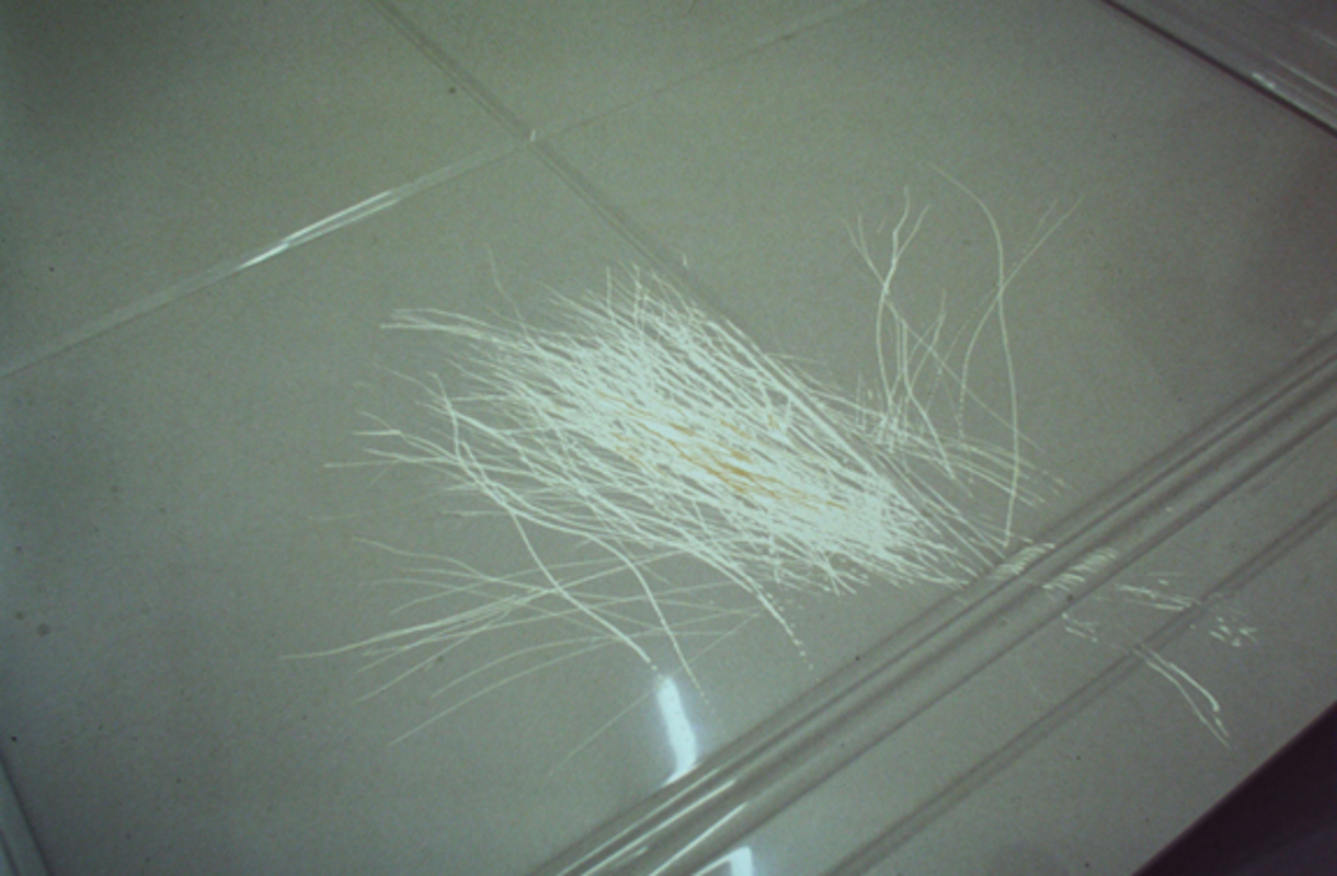 Cate Consandine, fallout, installation view, Studio 12, 200 Gertrude Street, Naarm Melbourne, 2003, image courtesy and © the artist, photograph: Gertrude