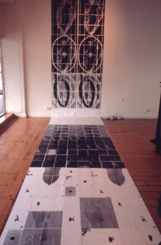Fortuna - Charles Anderson - Install shot - 2