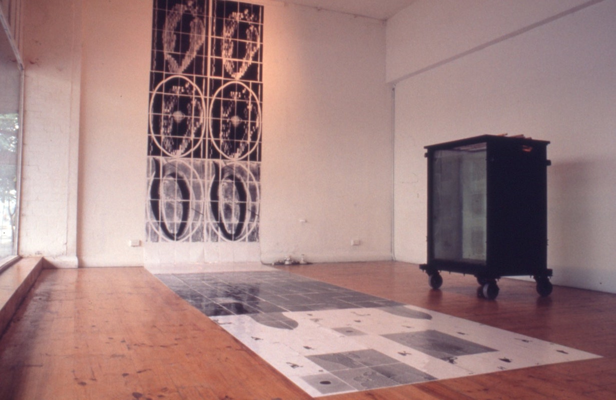 Fortuna - Charles Anderson - Install shot - 2