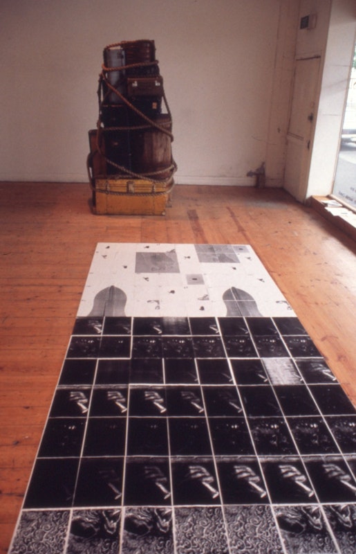 Fortuna - Charles Anderson - Install shot - 1