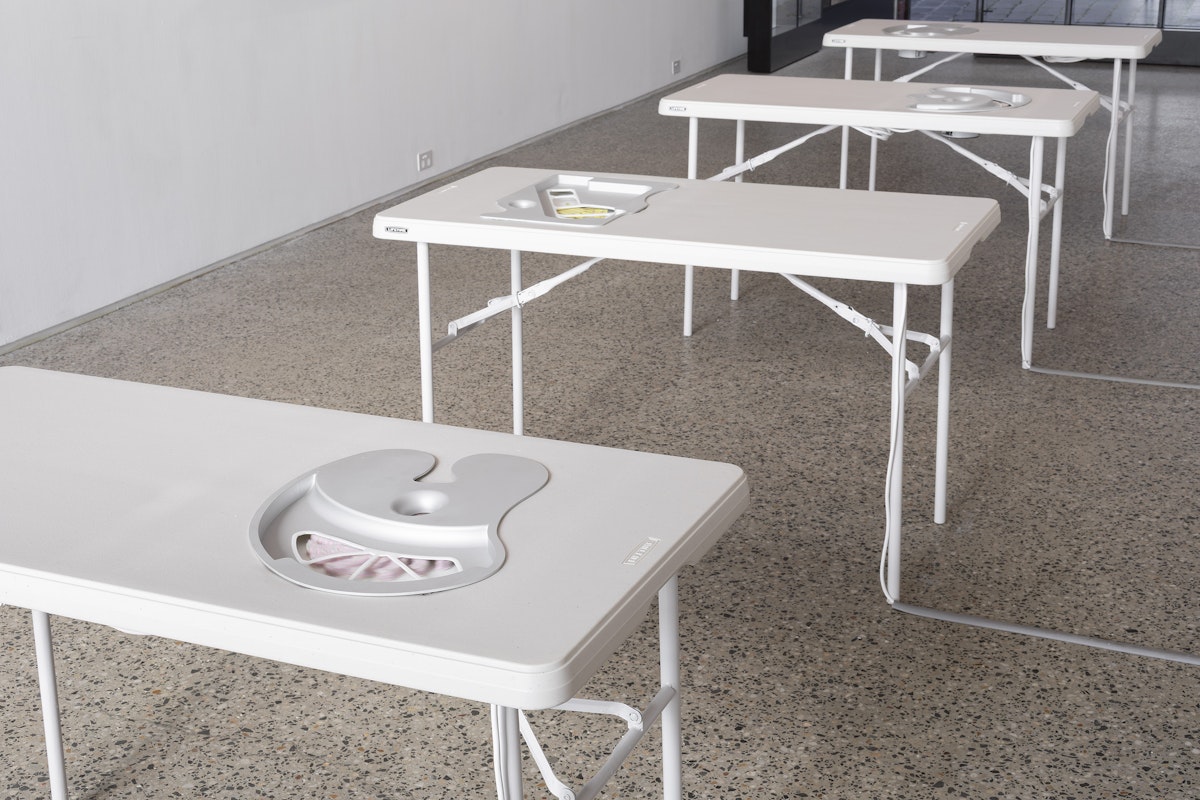 Jordan Halsall, installation view, Force Feeder, Gertrude Glasshouse, Naarm Melbourne, 2026, image courtesy and © the artist, photograph: Christian Capurro