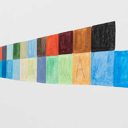 Detail of Renee Cosgrave, Kuikui, 2026, acrylic and pencil wall painting, dimensions variable, Waiho i te toipoto (keep close together), Gertrude Glasshouse, Naarm Melbourne, 2026, image courtesy and © the artist, photograph: Christian Capurro