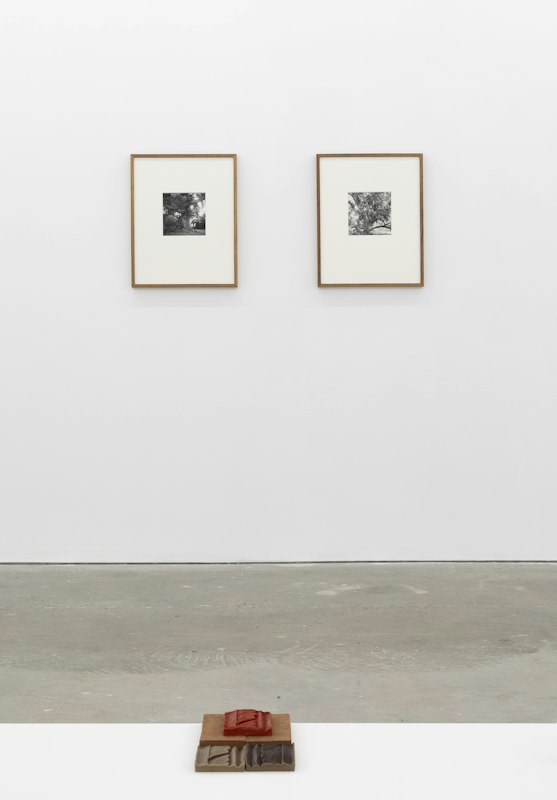 Leyla Stevens, A Temple in Three Acts, 2026, installation view, Gertrude Contemporary, Naarm Melbourne, image courtesy and © the artist, photograph: Christian Capurro