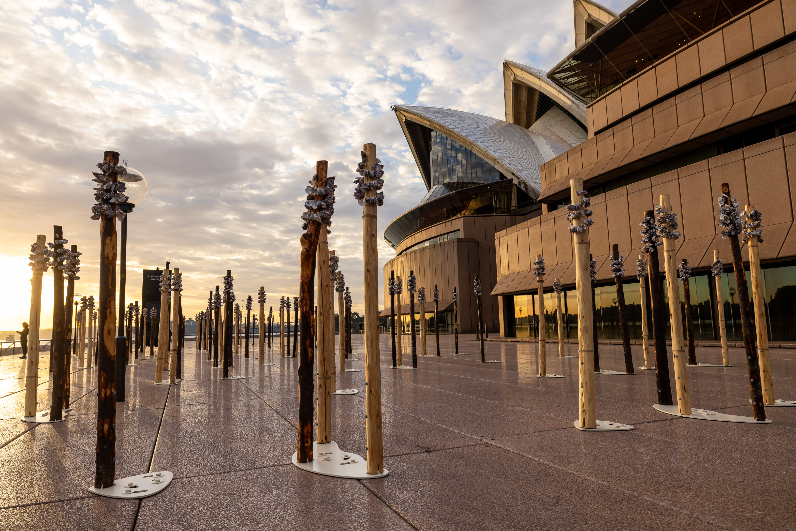 Megan Cope, Whispers, 2023, Sydney Opera House, NSW. 85,000 repurposed oyster shell waste, cypress pine, stainless steel cables, aluminum, dimensions variable. Image courtesy of the artist and Milani Gallery, Brisbane, Photo: Daniel Boud.