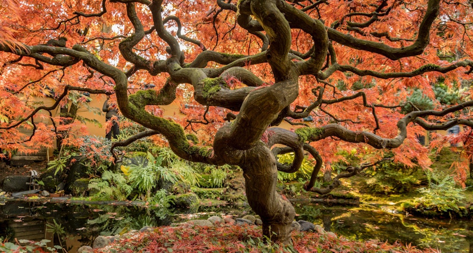 Deploying multiple apps from a mono repository on Scalingo