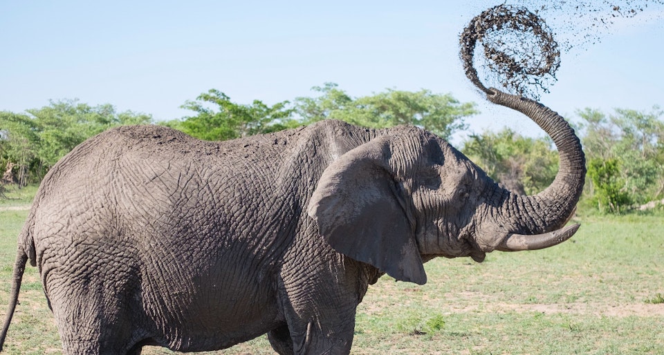 One-click upgrade your PostgreSQL to version 10.1 now available!