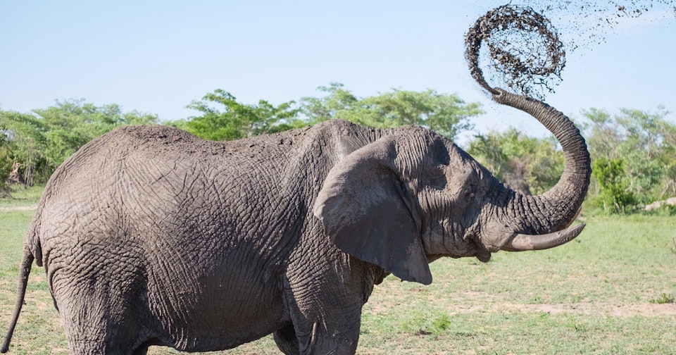 One-click upgrade your PostgreSQL to version 10.1 now available!
