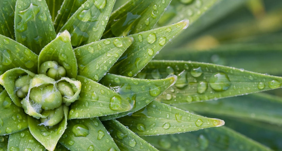 Now available on Scalingo - MongoDB 3.4