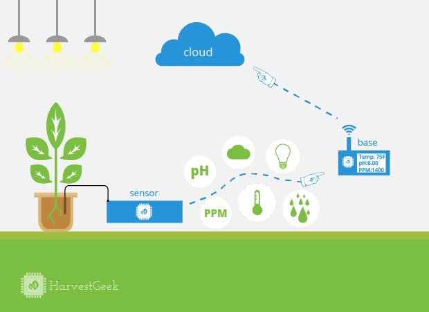 Example of usage of time series data storage in agriculture