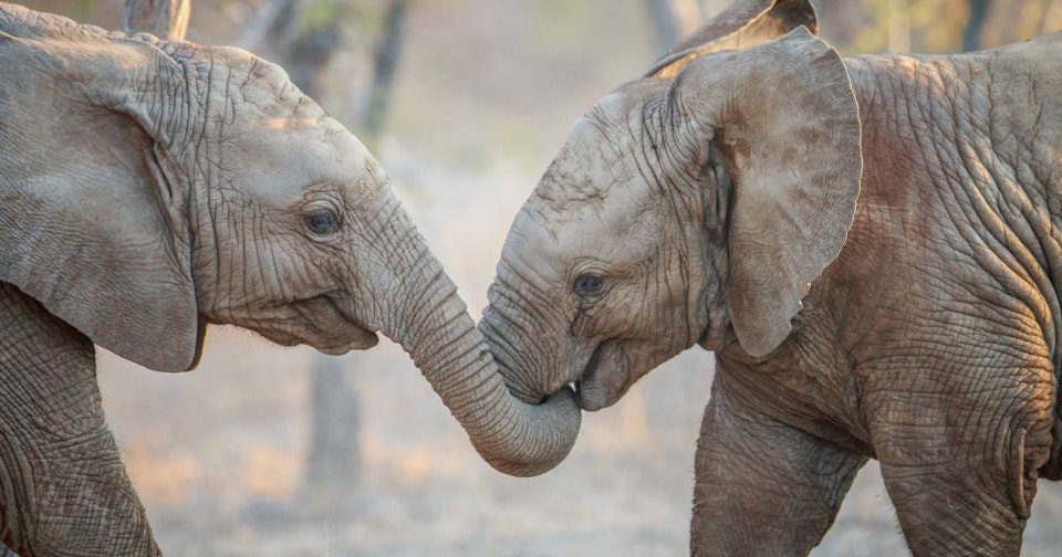 One-click upgrade your PostgreSQL to version 9.5 and 9.6 now available!