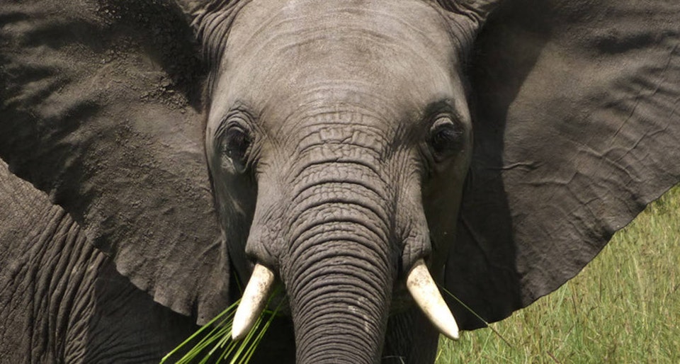PostgreSQL 9.4 is now available and our Future Plan for database versioning