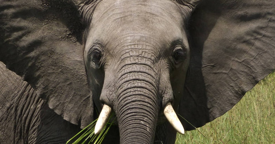 PostgreSQL 9.4 is now available and our Future Plan for database versioning