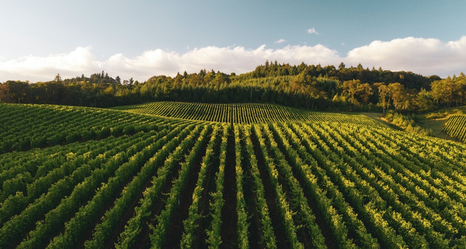 Autoscaling: automagically scale your application based on your application metrics