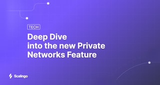 Deep Dive into the new Private Networks Feature