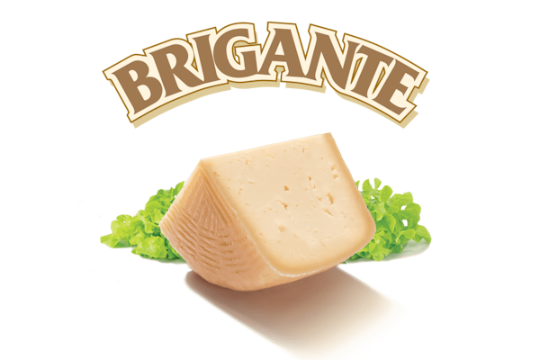 Brigante Pinna