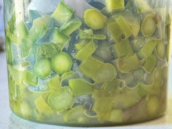 image00009.jpeg