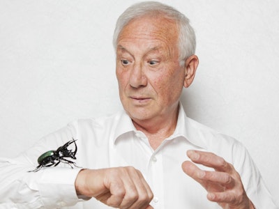 Vittorio Costantini