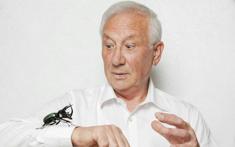 Vittorio Costantini