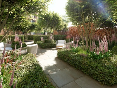 Courtyard Garden at Auriens Chelsea