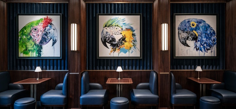 Culfords Bar with works by Dave White