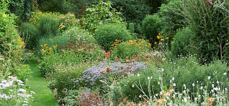 Garden in bloom