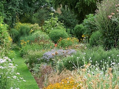 Garden in bloom